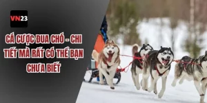 cá cược đua chó