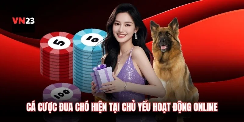 Cá cược đua chó hiện tại chủ yếu hoạt động ở môi trường online