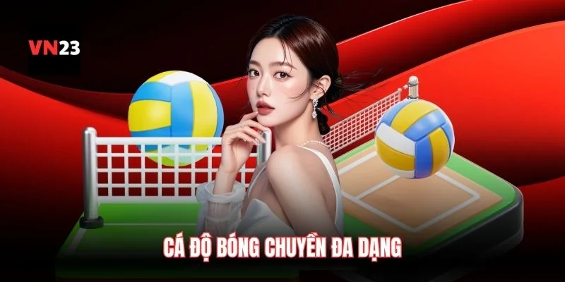 Cá độ bóng chuyền đa dạng