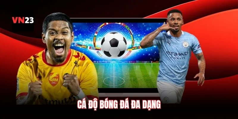 Cá độ bóng đá đa dạng