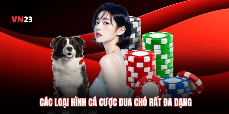 Các loại hình cá cược đua chó rất đa dạng