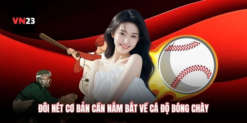 Đôi nét cơ bản cần nắm bắt về cá độ bóng chày