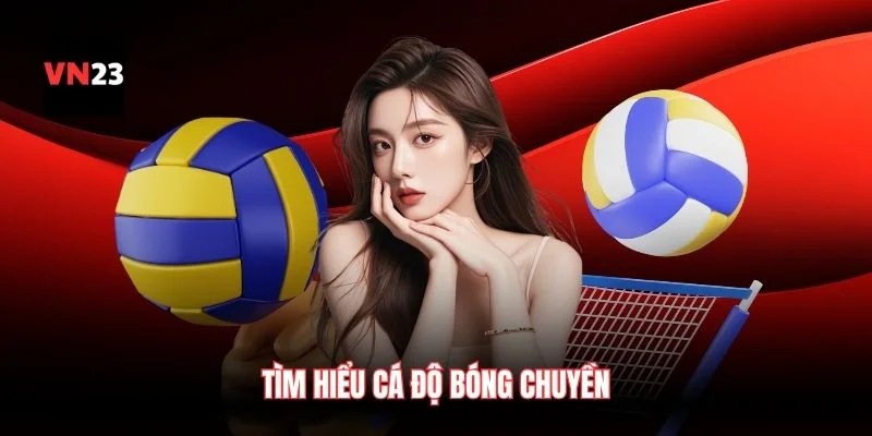 Tìm hiểu cá độ bóng chuyền