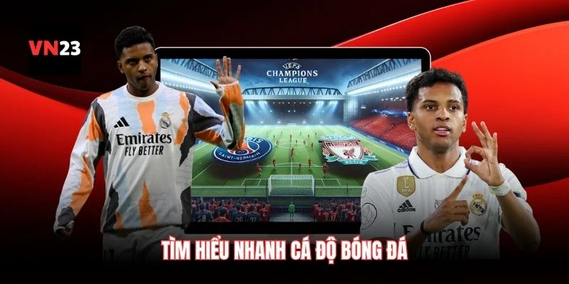 Tìm hiểu nhanh cá độ bóng đá